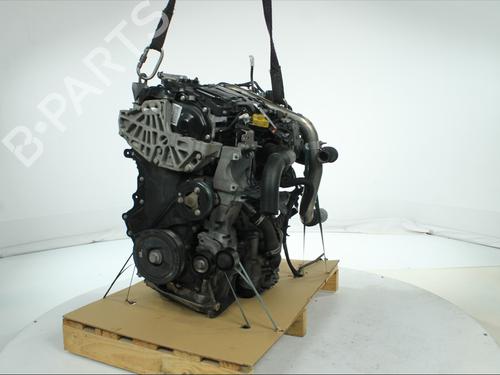 Engine RENAULT LAGUNA Coupe (DT0/1) 2.0 dCi (DT01, DT08, DT09, DT0K, DT12, DT1C, DT1D, DT1M,... | BP39496632M1 - Image 5