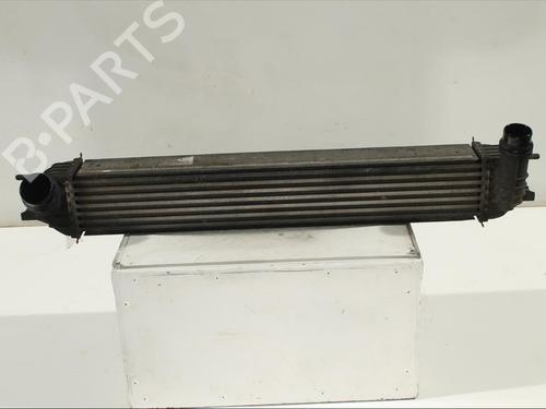 Used Intercooler Intercooler RENAULT LAGUNA III (BT0/1) 2.0 dCi (BT07, BT0J, BT14, BT1A, BT1S) (131 hp) 11902542 11902542