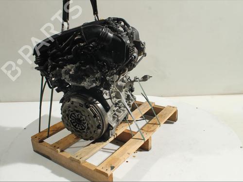 Engine VW T-ROC (A11, D11)  | BP24427299M1 