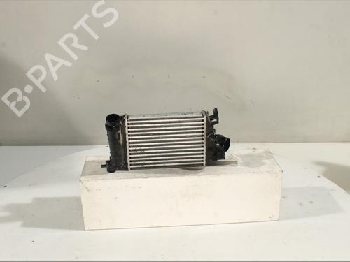 Intercooler DACIA SANDERO III 1.0 TCe LPG | BP30630985M30