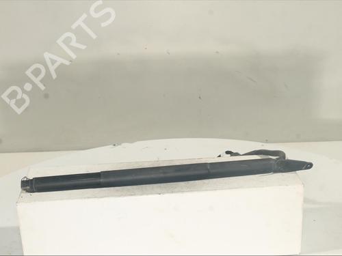 Used Tailgate lift support VW TIGUAN (AD1, AX1) [2016-2024]  22226304