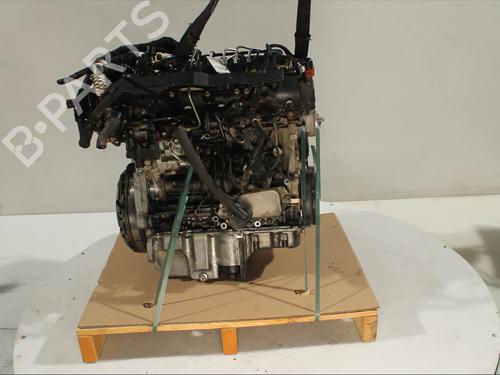 BP30404170M1 main image