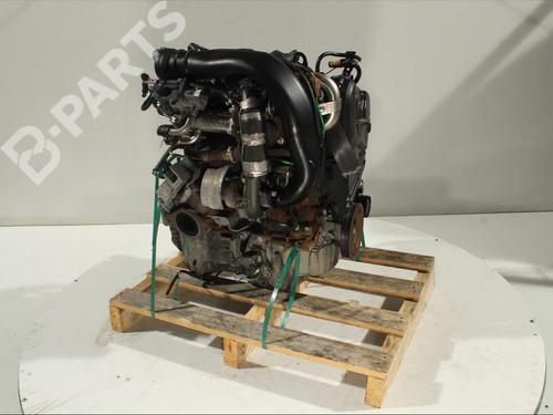 Engine RENAULT CLIO III (BR0/1, CR0/1)  | BP11906679M1 