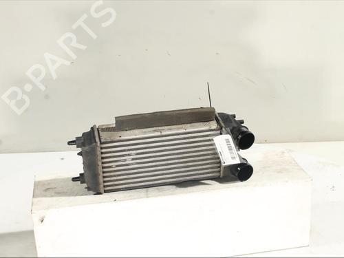 Intercooler FORD ECOSPORT 1.5 EcoBlue TDCi | BP24519934M30 