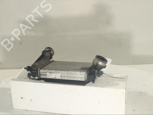 Intercooler RENAULT MEGANE IV Grandtour (K9A/M/N_) 1.2 TCe 130 (K9MR) | BP21139339M30 