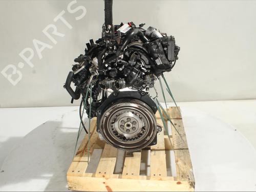 Engine VW POLO VI (AW1, BZ1, AE1) 1.0 TSI | BP24352853M1 