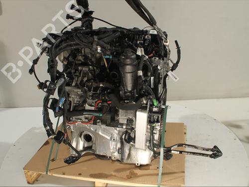 Engine BMW X4 (G02, F98) xDrive 20 d Mild-Hybrid | BP29021322M1 