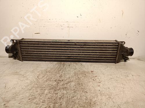 Used Intercooler FIAT DOBLO Cargo (263_) 1.3 D Multijet (90 hp) 19328091