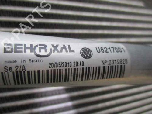 Air conditioning evaporator SEAT IBIZA IV SC (6J1, 6P5) 1.4 TDI | BP11666838M109 