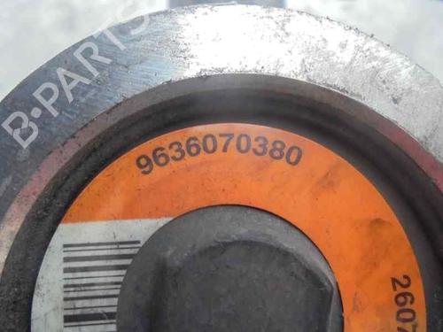 Steering pump PEUGEOT 306 (7B, N3, N5) 1.9 D | BP2124910M99 