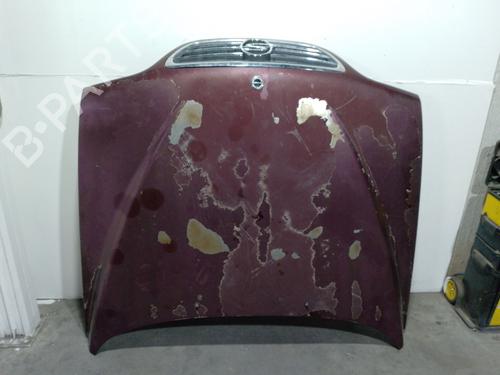 Used Hood SSANGYONG MUSSO (FJ) 2.9 TD (120 hp) 19254995