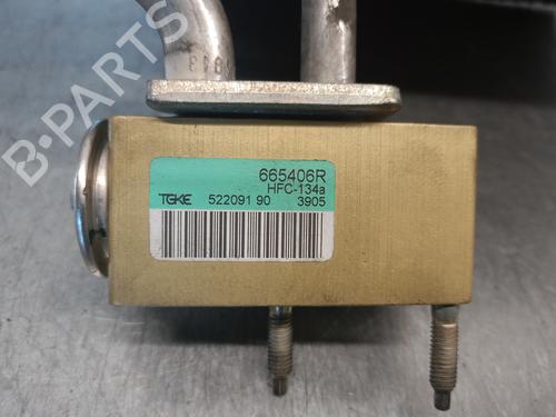 Air conditioning evaporator CITROËN C3 Pluriel (HB_) 1.4 HDi | BP18526745M109 