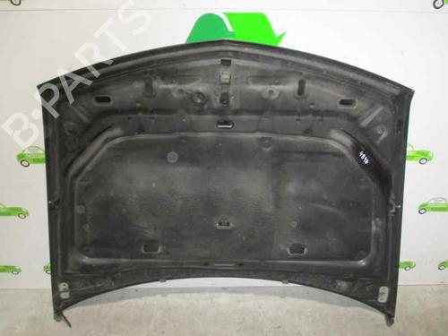Hood RENAULT VEL SATIS (BJ0_) 3.0 dCi (BJ0J, BJ0N) | BP2080874C1