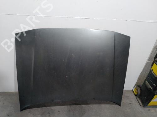 Used Hood RENAULT 21 (B48_) 1.7 (88 hp) 19269222