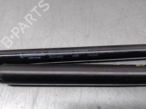 Tailgate lift support CADILLAC SRX 3.6 | BP16856055C138 