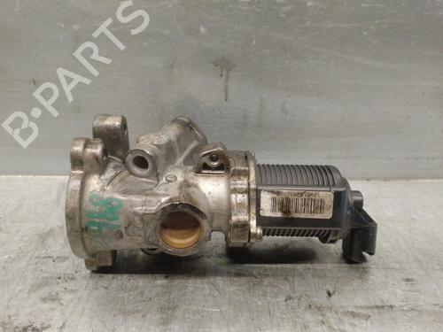 Egr FIAT DOBLO Cargo (263_) 1.3 D Multijet | BP19334604M69 