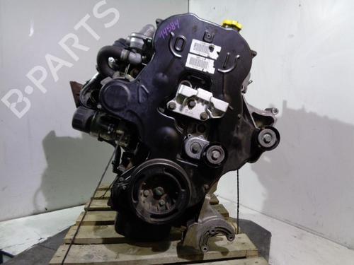 Tendeur Courroie Trapézoïdale à Nervures Frankberg – Compatible Voyager IV RG RS / Cherokee KJ 2.5L 2.8L Diesel 2000-2008 – Réf. 5072440AB