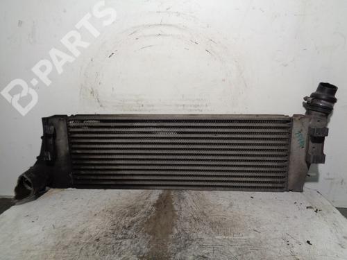 Used Intercooler Intercooler RENAULT MEGANE II Saloon (LM0/1_) 1.9 dCi (131 hp) 10225248 10225248