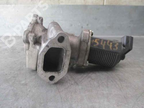 Used Egr Egr OPEL COMBO Box Body/MPV 1.3 CDTI 16V (69 hp) 2125464 2125464