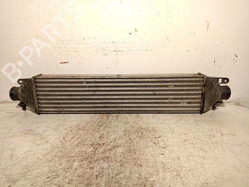 Intercooler FIAT DOBLO Cargo (263_) 1.3 D Multijet | BP19328091M30 