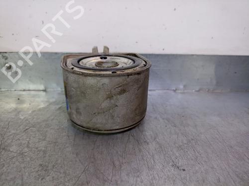 Oil radiator FIAT ULYSSE (179_) 2.2 JTD | BP19126884M33 
