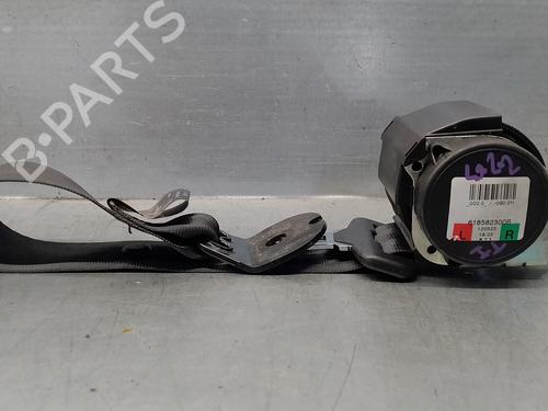 Rear left belt tensioner LAND ROVER RANGE ROVER EVOQUE (L538) 2.2 D 4x4 (190 hp) 18013392