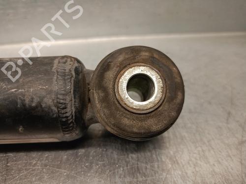Right rear shock absorber FIAT DOBLO Cargo (263_) 1.3 D Multijet | BP17991059M19 