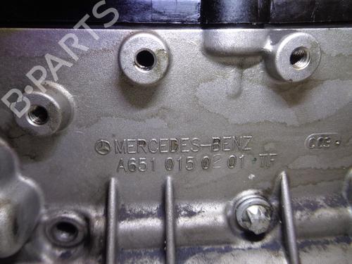 Cylinder head MERCEDES-BENZ E-CLASS (W212) E 250 CDI / BlueTEC (212.003, 212.004) | BP16074129M5 