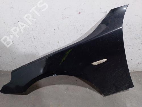 Used Left front fenders BMW 5 Touring (E61) 525 xi (218 hp) 19072391
