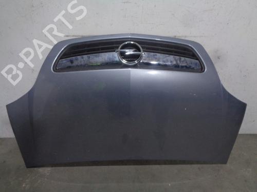 Hood OPEL MERIVA A MPV (X03) 1.7 CDTI (E75) 13902407 | B-Parts