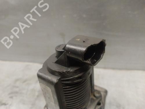 Egr FIAT DOBLO Cargo (263_) 1.3 D Multijet | BP19334604M69 