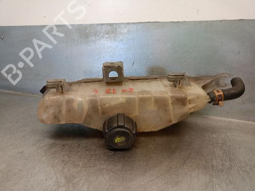Expansion tank RENAULT CLIO III (BR0/1, CR0/1) 1.5 dCi | BP19020579C120 