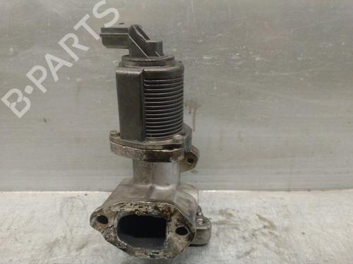 Egr FIAT DOBLO Cargo (263_) 1.3 D Multijet | BP19334604M69 