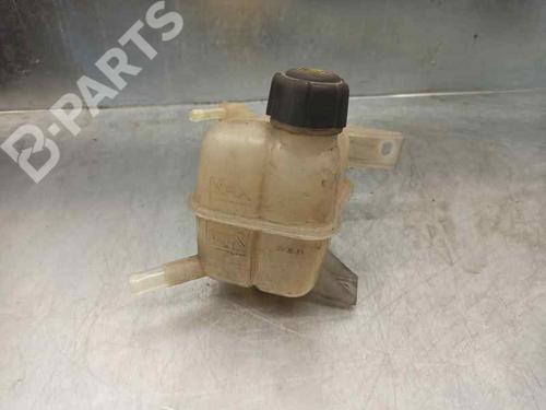 Used Expansion tank Expansion tank RENAULT KOLEOS I (HY_) 2.0 dCi 4x4 (HY0K) (150 hp) 6068402 6068402