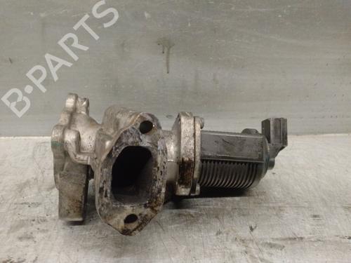 Egr FIAT DOBLO Cargo (263_) 1.3 D Multijet | BP19334604M69 
