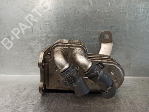 Used Egr CHRYSLER VOYAGER IV (RG, RS) 2.8 CRD (150 hp) 17461775