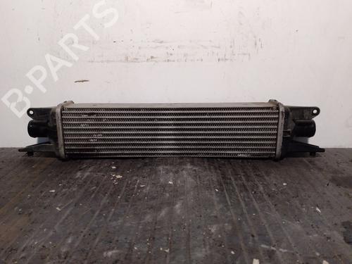 Ladeluftkühler für TATA INDICA VISTA 1.3 CRDi (95 hp) 19252414