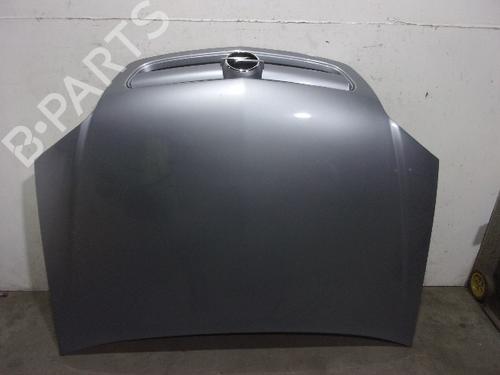 Hood OPEL SIGNUM Hatchback (Z03) 3.0 V6 CDTI (F48) 1160003 | GRIS