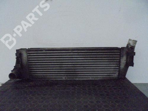 Used Intercooler Intercooler RENAULT SCÉNIC II (JM0/1_) 1.5 dCi (JM1E, JM16) (106 hp) 10001628 10001628