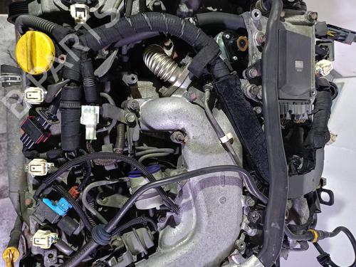 Motor OPEL SIGNUM Hatchback (Z03) 3.0 V6 CDTI (F48) | BP18433854M1 