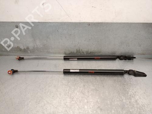 Tailgate lift support SUBARU FORESTER (SG_) 2.0 X AWD (SG5) | BP19925886C138 