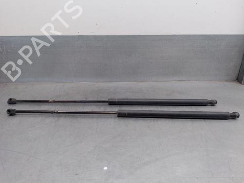 Used Tailgate lift support VW CADDY III MPV (2KB, 2KJ, 2CB, 2CJ) 2.0 SDI (70 hp) 19056174