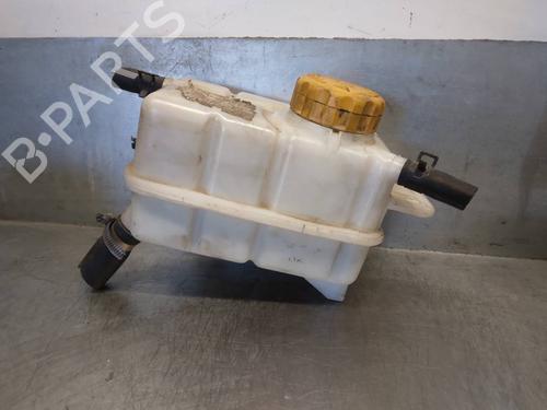 Deposito expansion CHEVROLET AVEO / KALOS Hatchback (T250, T255) 1.4 (101 hp) 17672920