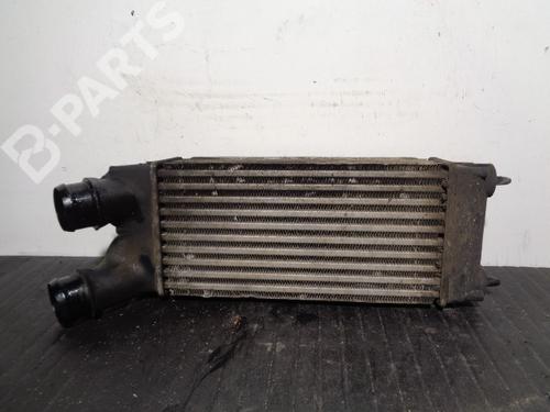 Used Intercooler Intercooler PEUGEOT PARTNER Box Body/MPV 1.6 HDi (75 hp) 10713284 10713284