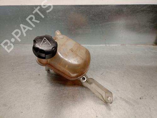 Used Expansion tank CITROËN C5 III (RD_) 2.0 HDi 165 (RDRHHA, RDRHH8) (163 hp) 19665042