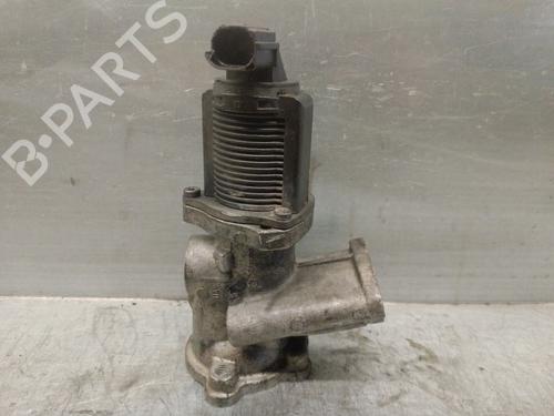 Used Egr FIAT DOBLO Cargo (263_) 1.3 D Multijet (90 hp) 19334604