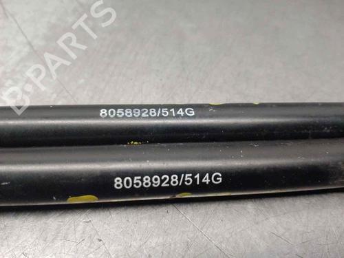 Tailgate lift support LAND ROVER DISCOVERY III (L319) 2.7 TD 4x4 | BP18346354C138 