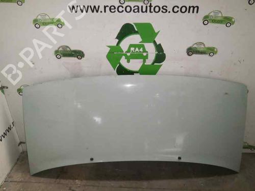 Hood PEUGEOT EXPERT (224_) 1.9 TD (90 hp) 2064902