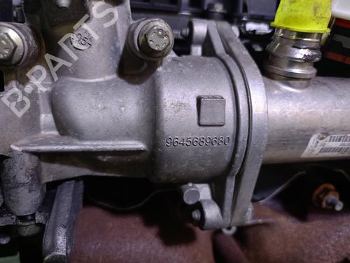 Engine FORD FOCUS II (DA_, HCP, DP)  | BP18406636M1 