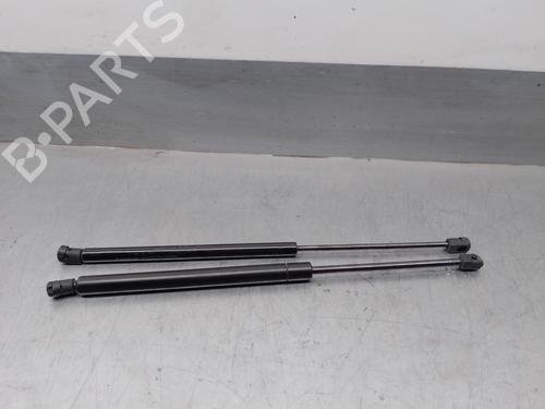 Tailgate lift support CADILLAC SRX 3.6 | BP16856055C138 